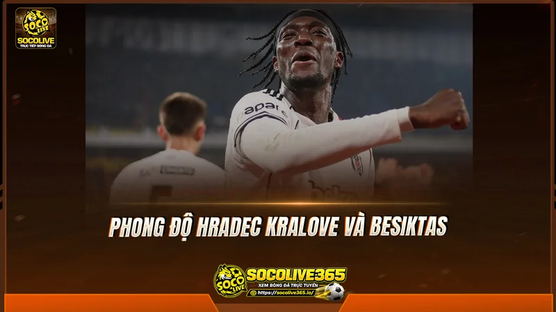 Phong độ Hradec Kralove và Besiktas được Socolive TV tổng hợp Phong độ Hradec Kralove và Besiktas được Socolive TV tổng hợp