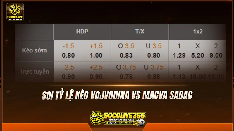 Soi tỷ lệ kèo nhà cái trận Vojvodina vs Macva Sabac Soi tỷ lệ kèo nhà cái trận Vojvodina vs Macva Sabac