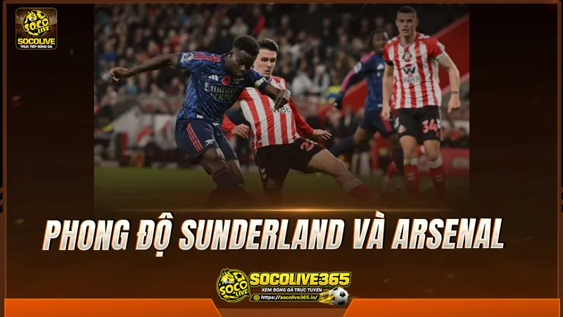 Phong độ Sunderland và Arsenal được Socolive TV tổng hợp Phong độ Sunderland và Arsenal được Socolive TV tổng hợp
